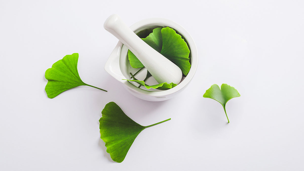MIHI Crinière de lion + extraits de Ginkgo biloba 30 unités