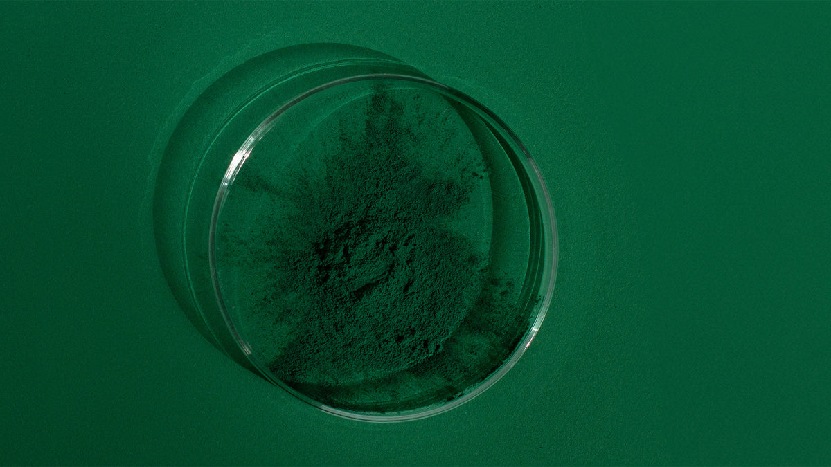 MIHI Espirulina 500 mg 30 unidades